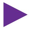 flecha violeta